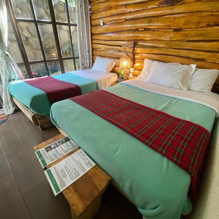 Eco Quechua Lodge Santa Teresa (Cusco) Exterior foto
